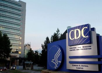 CDC Predicts Up To 978,000 Covid-19 Deaths In US By Early March