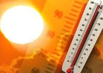 Odisha Heat Wave Alert: Meteorological Centre has issued Yellow Warning for 6 districts