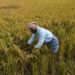 India’s Agriculture Exports touch a historic high of USD 50 billion
