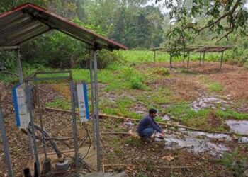 Sensor-based irrigation system using bank filtration saves water & increases farmer’s income