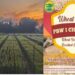 New premium quality wheat variety gives soft and sweet chapatis