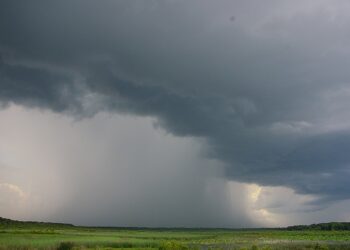 thundertrom