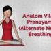 Benefits of Doing Anulom Vilom Pranayama regularly