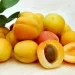 Apricot ‘one of the healthiest fruits in the world’- Health & Nutritional Benefits
