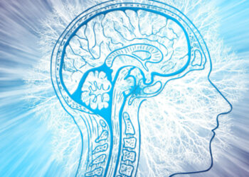 Functional connectivity changes in the brain after meditation: study