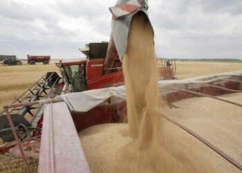 Africa Warns Of Food Shortage Due To Russian Blockade Of Ukraine’s Ports