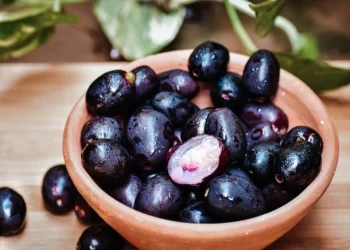 Diabetes Diet| Is Jamun Blackberry Good or Bad For Diabetes Patients