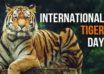 International Tiger Day 2022: History and significance