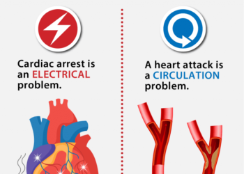 Heart Attack vs Cardiac Arrest: Difference, Symptoms and Prevention
