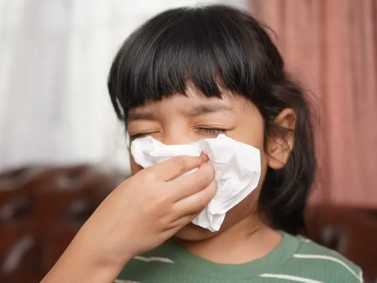 Sinus Infection: 5 Powerful Home Remedies