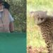 PM releases wild Cheetahs - which had become extinct from India - in Kuno National Park