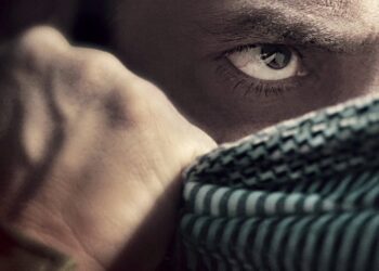 Tiger 3 BO Collection Day 2: Salman Khan & YRF’s Spy Actioner Sets Massive New Record On 2nd Day, Crosses Rs 100 Crore In India – Check Detail