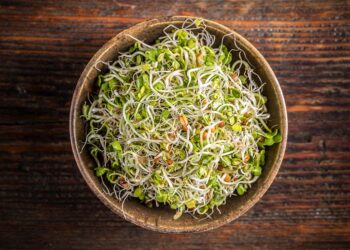 The Health Benefits Of Raw Sprouts: Rich Fiber Source To Protein