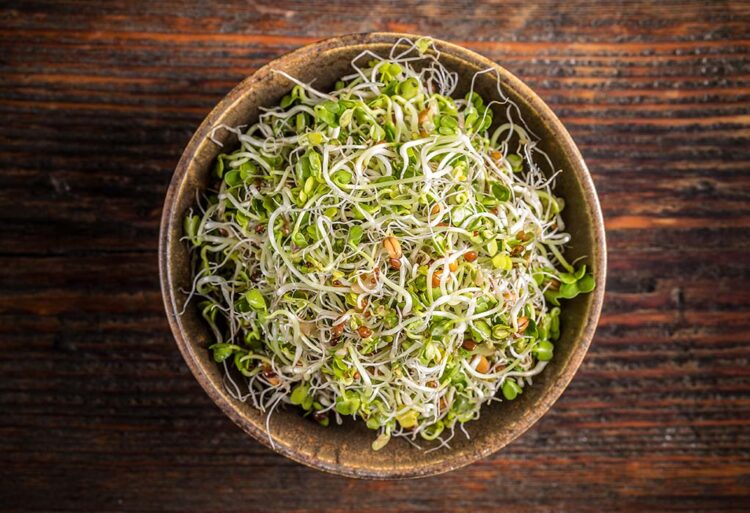 The Health Benefits Of Raw Sprouts: Rich Fiber Source To Protein