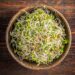 The Health Benefits Of Raw Sprouts: Rich Fiber Source To Protein