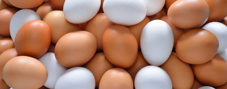 Brown or white egg: Which is healthier?