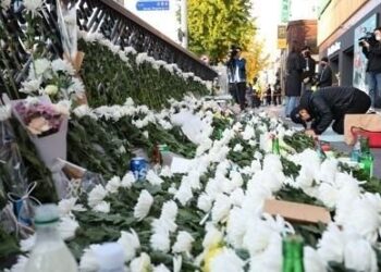 Seoul Halloween Stampede: Death Toll Reaches 156