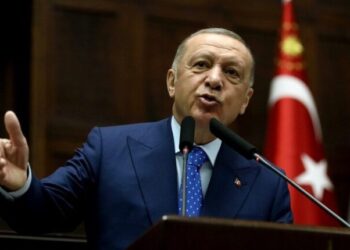 Turkey's Erdogan Works On ‘Peace Corridor’ Between Ukraine, Russia