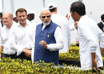 Prime Minister Shri Narendra Modi visits Mangrove forests on the sidelines of G-20 Summit in Bali
