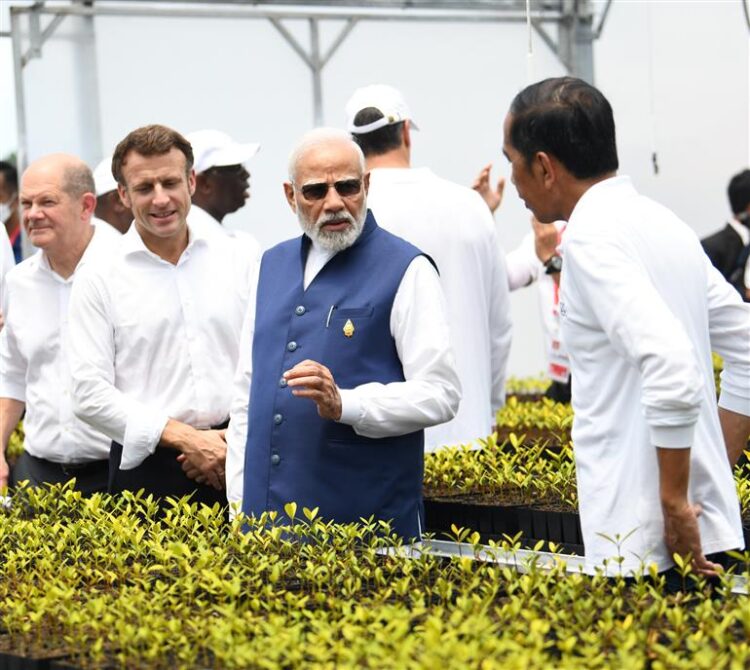 Prime Minister Shri Narendra Modi visits Mangrove forests on the sidelines of G-20 Summit in Bali