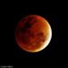 IIA: Lunar Eclipses Do Not Have Any Harmful Effects