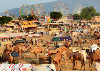 Rajasthan to host 8-day Pushkar fair, tourists from different countries invited
