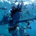 ‘Avatar: The Way Of Water’ Earns $855 Million Globally In 10 Days