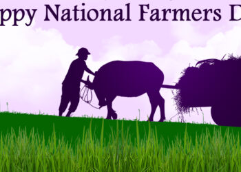 National Farmer's Day 2022 (Kisan Diwas): History, significance and everything you need to know