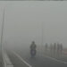 Dense Fog Alert: Three Odisha Districts Issued Yellow Warning For Next Two Days