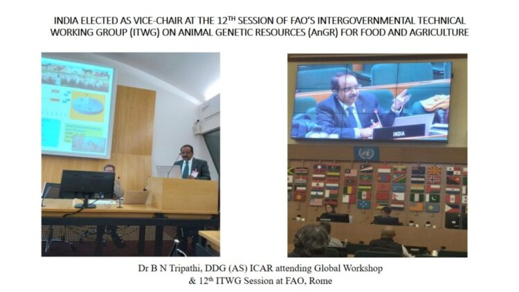 India elected as Vice-Chair at the 12th session of FAO’s Intergovernmental Technical Working Group (ITWG) on Animal Genetic Resources (AnGR) for Food and Agriculture