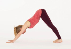 Adho Mukha Svanasana – Downward Facing Dog