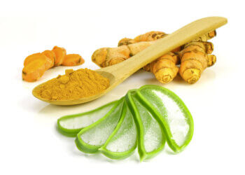 Know the herbs that can help with arthritis pain