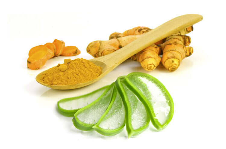 Know the herbs that can help with arthritis pain