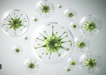 H3N2 influenza hits India: Masks in crowded places, proper hygiene | List of precautions