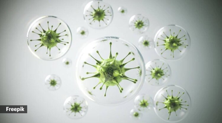 H3N2 influenza hits India: Masks in crowded places, proper hygiene | List of precautions