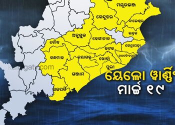 Odisha Weather Updates: Yellow Warning For Rain, Thundershower In 16 Districts