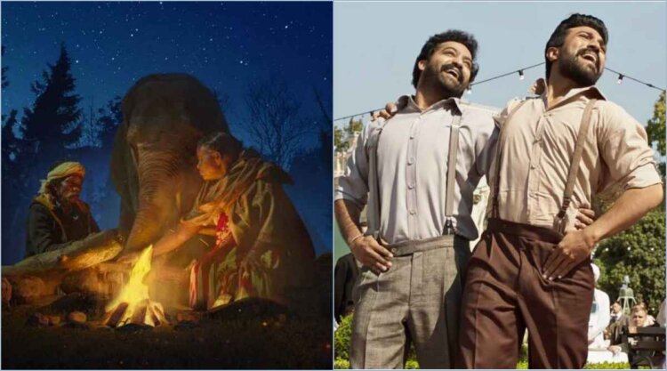 Oscars 2023: India's RRR's Naatu Naatu Wins Best Original Song, The Elephant Whisperers Wins Best Documentary Short