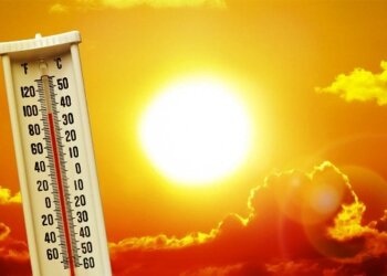 Odisha Weather: Severe Heat And Sultry Weather Ahead; 11 Coastal Districts Under Yellow Alert