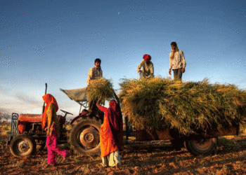 Odisha Govt Extends Last Date For Farmer Registration For Kharif Paddy Procurement