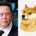 Elon Musk Replaces Twitter’s Blue Bird Logo With 'Doge' Meme