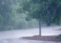 Odisha On High Alert As Well-Marked Low-Pressure Triggers Widespread Rain Across State