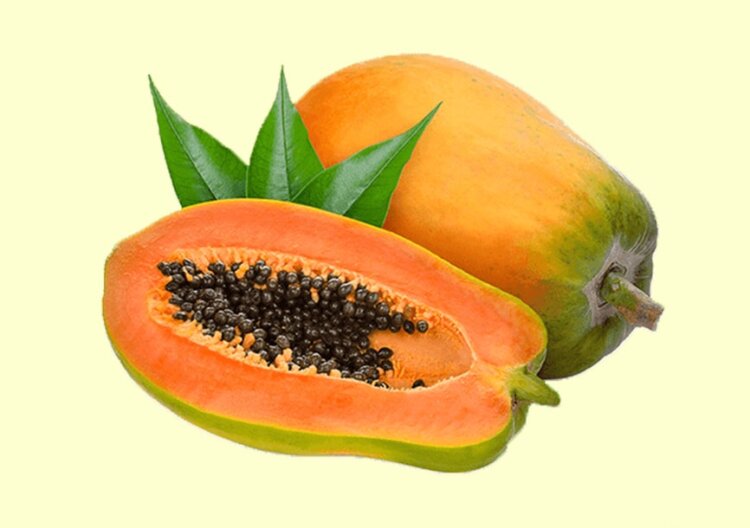 Fruits are a good source of nutrients which can deliver several health benefits. Eating a bowl full daily can keep your energy levels up and your immune system strong and protected. Well, when it comes to fruits, how can we miss papaya? Papaya is a fruit that is available throughout the year and is known for its luscious, juicy taste.