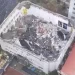 Gymnasium Roof Collapse in China: 11 Dead