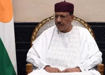 Niger Soldiers Declare Coup on TV