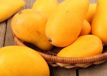 Mango myths: Are mangoes high in sugar and do they cause weight gain?