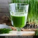 Benefits of Wheatgrass juice; Liver detox to managing Diabetes