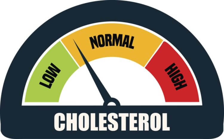 Suffering from high cholesterol? Know what to eat and avoid