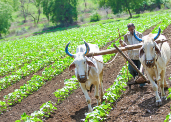 Odisha: Cut-Off Date For Enrolment Of Farmers In PMFBY Extended To August 5