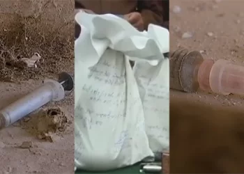 Drugs Fueling Terror: Kashmir's Dark Reality