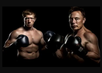 Elon Musk's Cage-Fight Joke with Zuckerberg